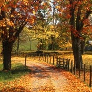 Meet your Posher, Kelsie